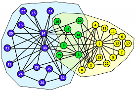 Overlapping Community Detection